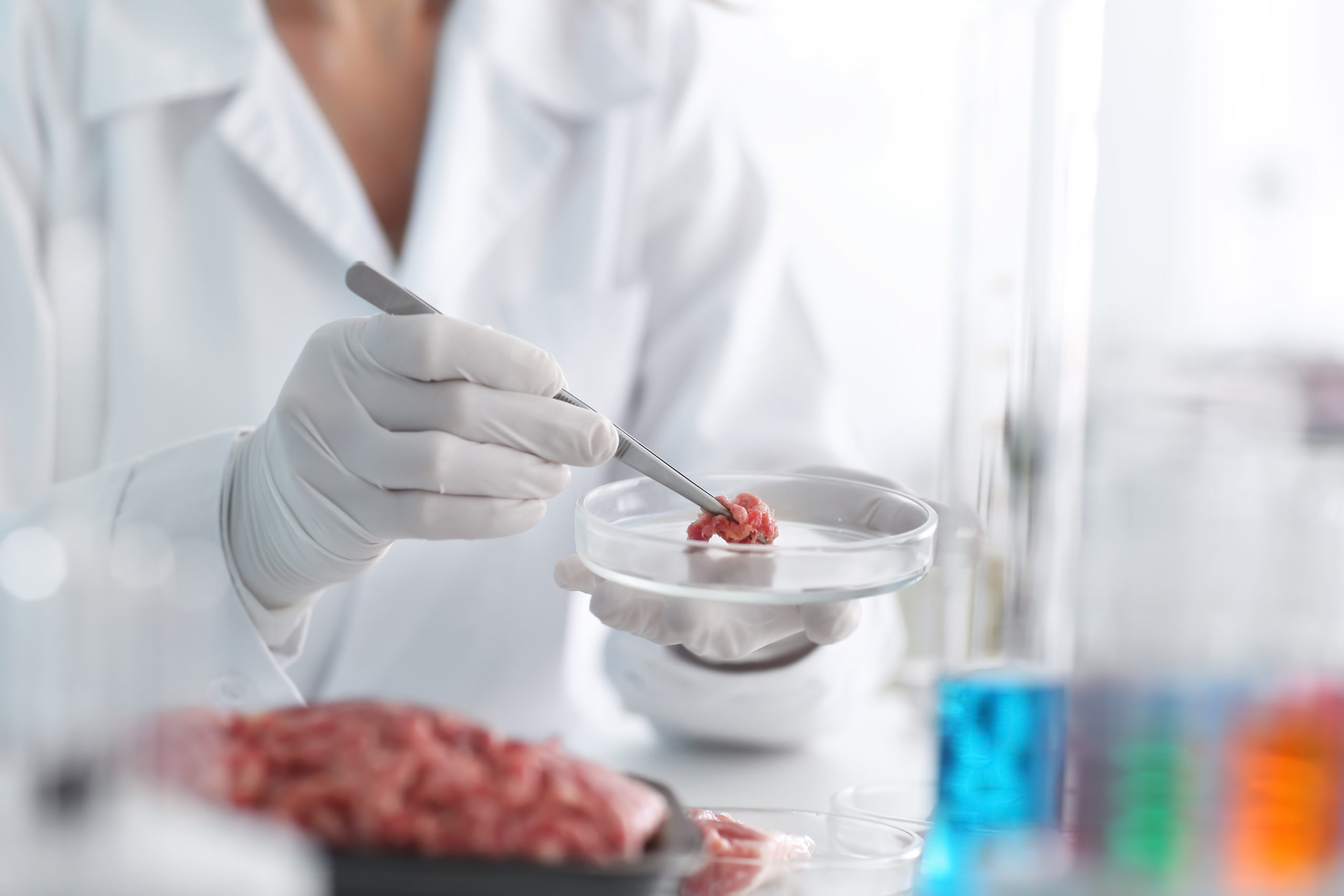 Лабораторные исследования мяса. Лабораторные исследования продуктов. Бактериологическое исследование мяса. Исследование мяса в лаборатории. Мясо, выращенное в лаборатории.